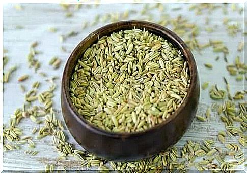 Fennel seeds against indigestion