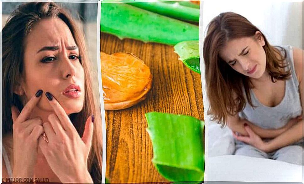 6 caring properties of aloe vera