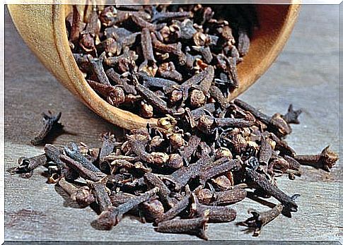 Home remedies for tartar: cloves