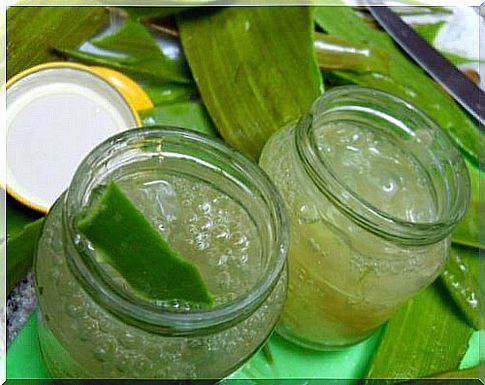 Home remedy for tartar: aloe vera