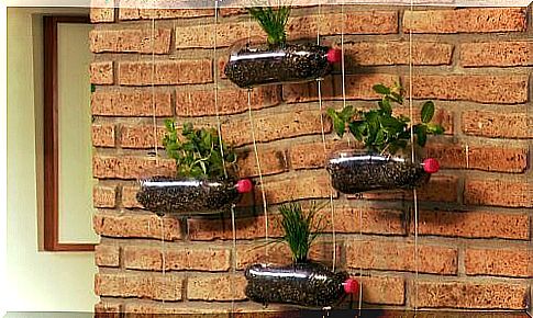 Learn to build a hanging garden - design