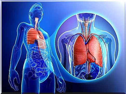 Respiratory tract - bronchial asthma