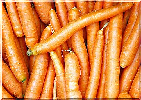 Carrots after exercise are healthy