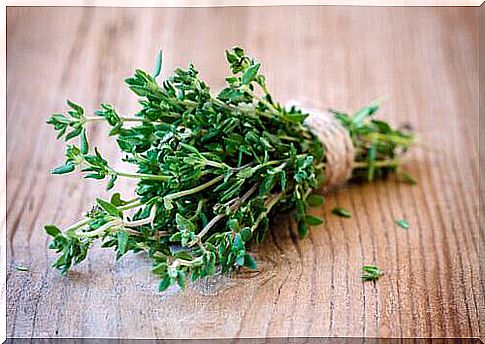 Thyme for cough tea