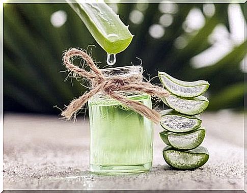 Cure sunburn with aloe vera