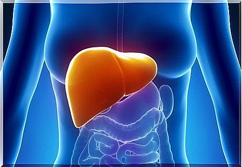 Fighting fatty liver the natural way