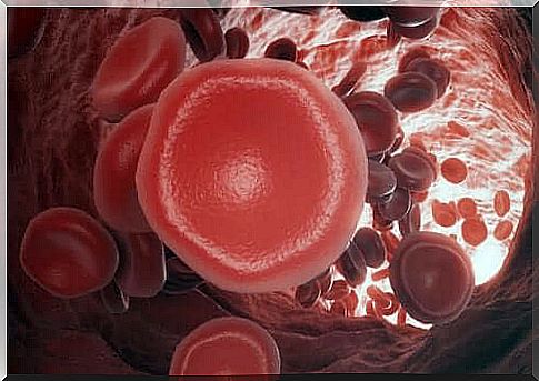 How does blood clotting work?