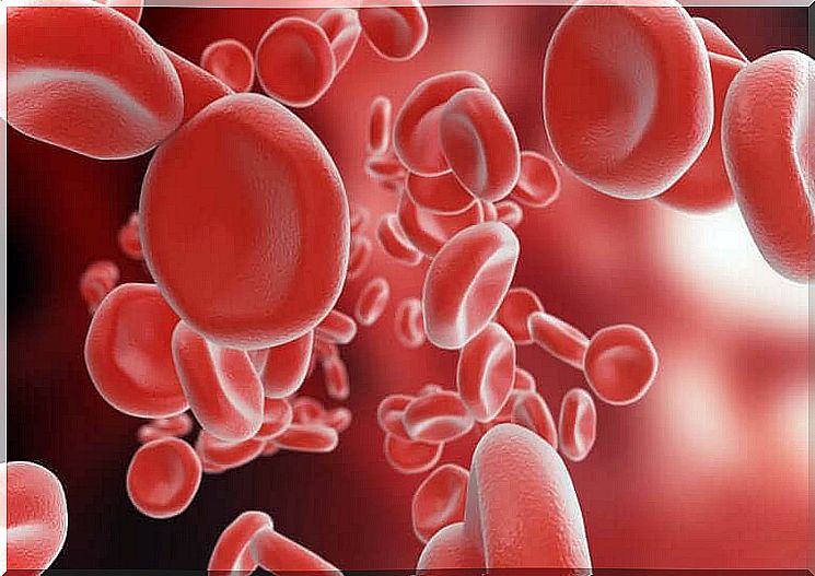 The mechanism of blood clotting