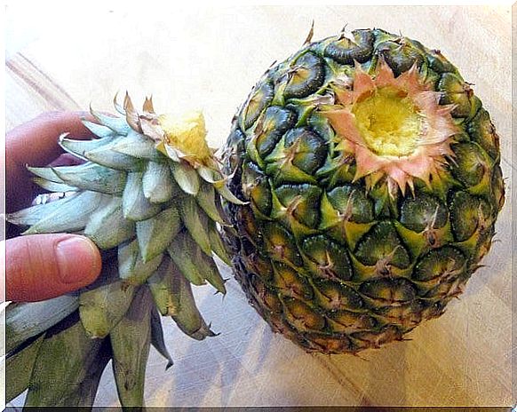 pineapple