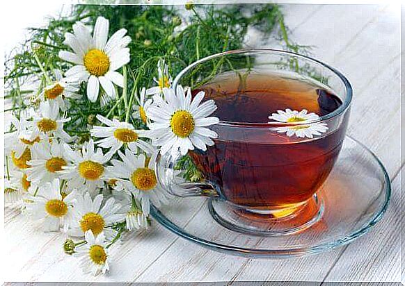 Camomile tea