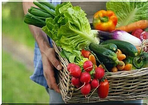 Basket of vegetables: low-sodium foods