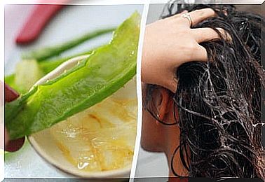 Aloe vera as a natural remedy for hair loss