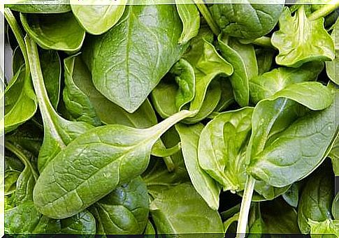 Spinach can prevent cancer