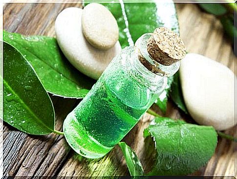 Tea tree oil 