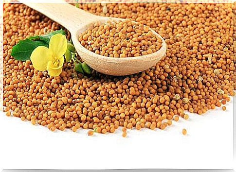 Mustard seeds