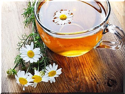 Chamomile for a good night's sleep