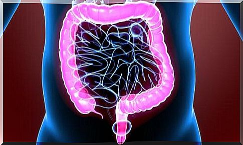 The fascinating physiology of the colon