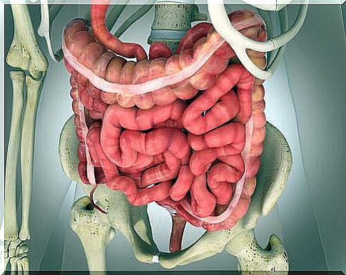 Bowel movement - colon physiology