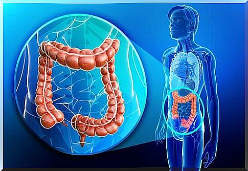 Stool reflex - colon physiology