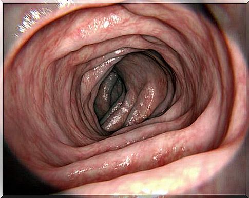 Absorption - Colon Physiology