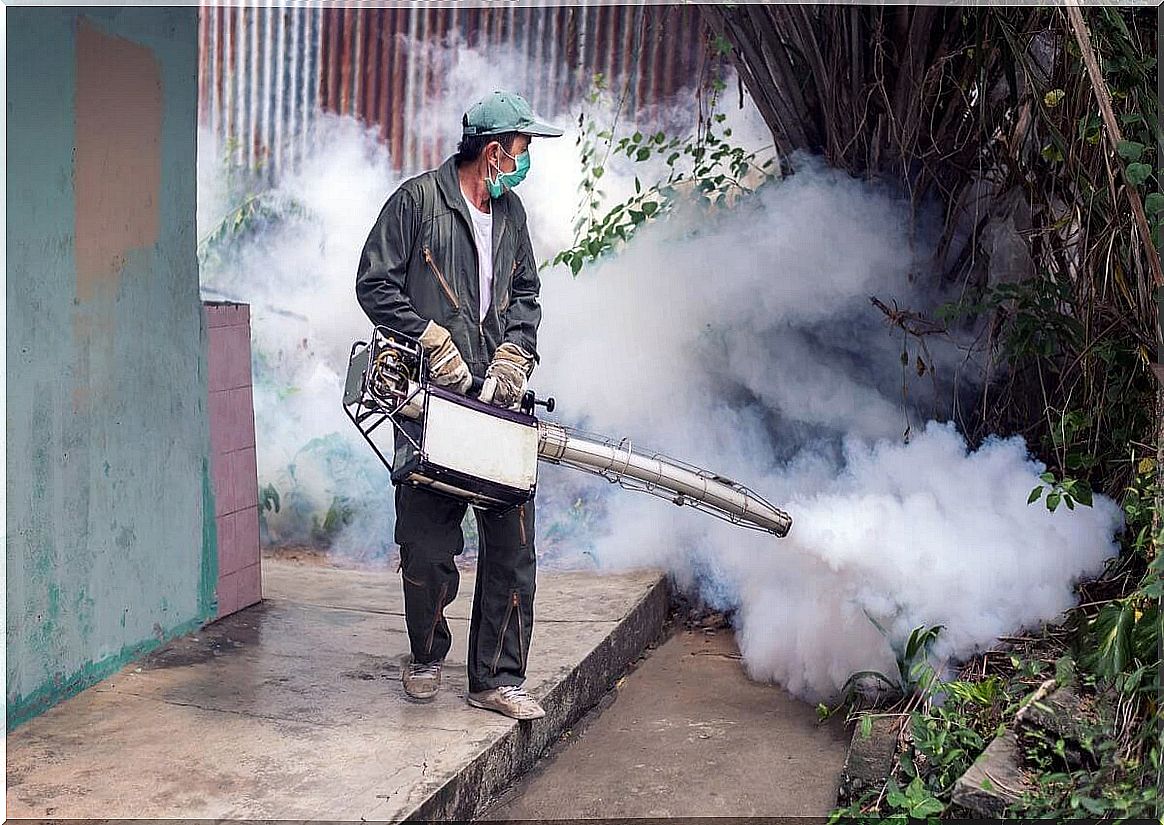 Pest control through fumigation