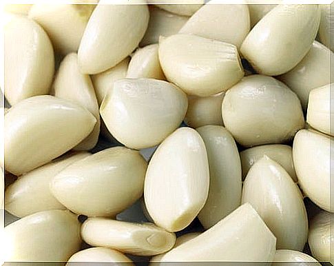 Proper nutrition for high blood pressure;  garlic