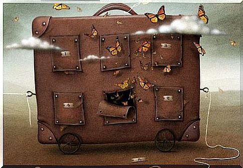 Suitcases-and-butterflies symbolize life