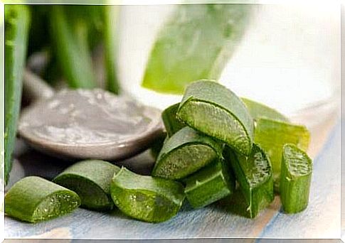 Aloe Vera for firm skin