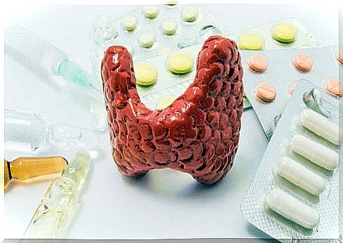 Thyroid gland and tablets