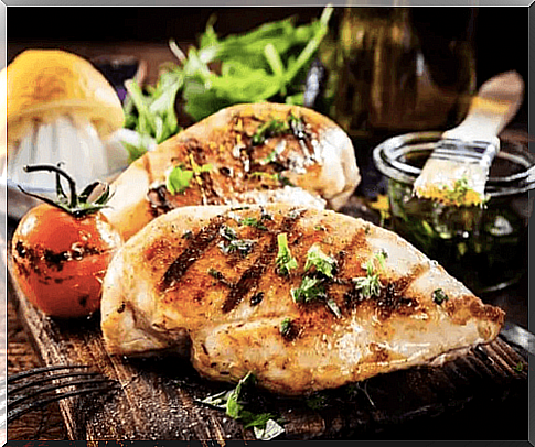 seared juicy chicken breast fillets