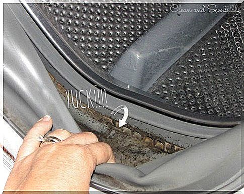 Useful trick for cleaning the washing machine