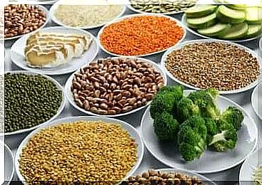 vegetarian diet: iron-containing ingredients