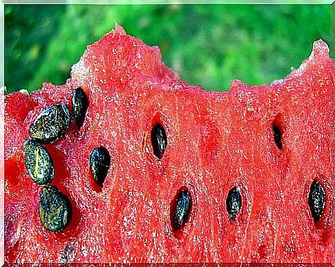 This is how you prepare a tea from watermelon seeds