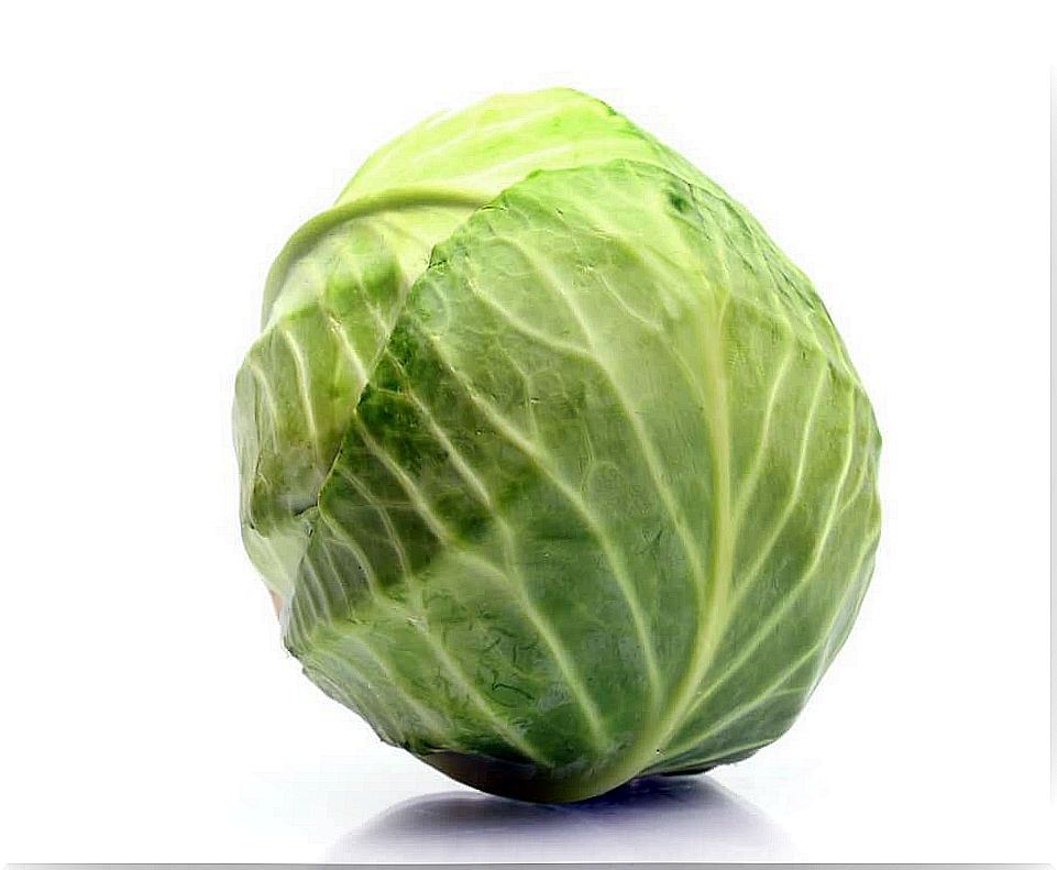 Cabbage for tendinitis